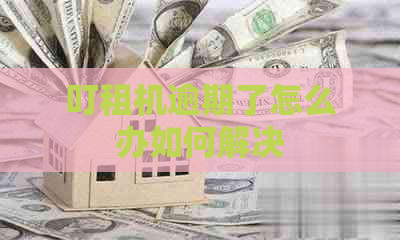 叮租机逾期了怎么办如何解决