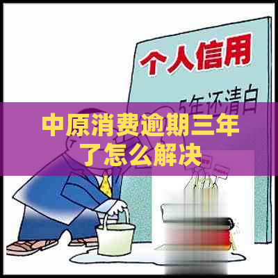 中原消费逾期三年了怎么解决