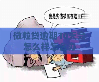 微粒贷逾期10天会怎么样怎么办