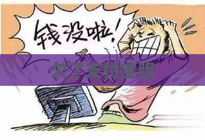 欠了支付宝跟
