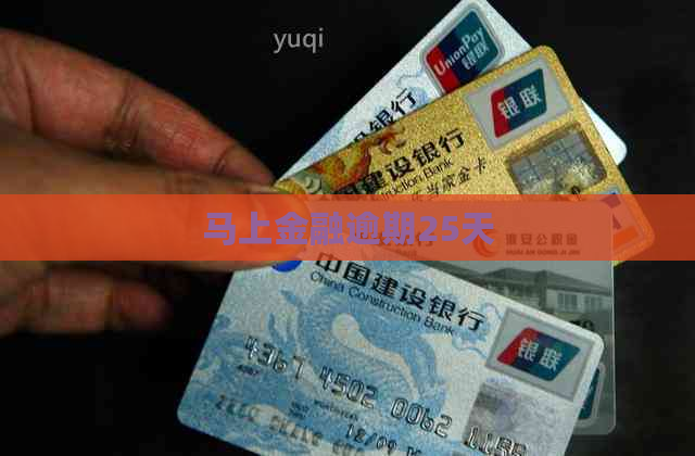 马上金融逾期25天