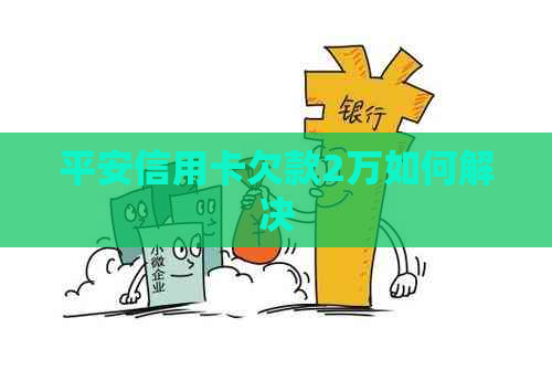 平安信用卡欠款2万如何解决