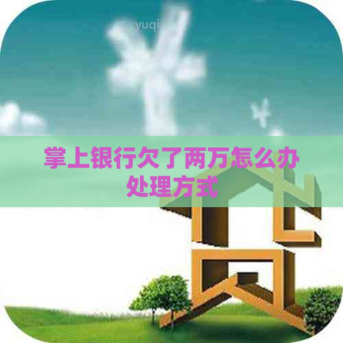 掌上银行欠了两万怎么办处理方式