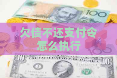 欠债不还支付令怎么执行