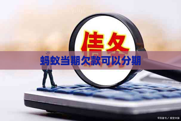 蚂蚁当期欠款可以分期