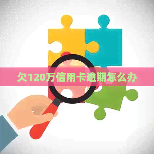 欠120万信用卡逾期怎么办