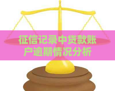 记录中贷款账户逾期情况分析