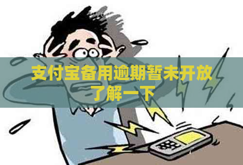 支付宝备用逾期暂未开放了解一下