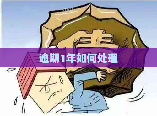 逾期1年如何处理