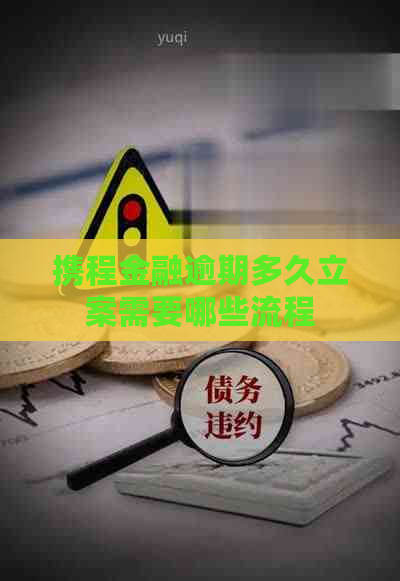 携程金融逾期多久立案需要哪些流程