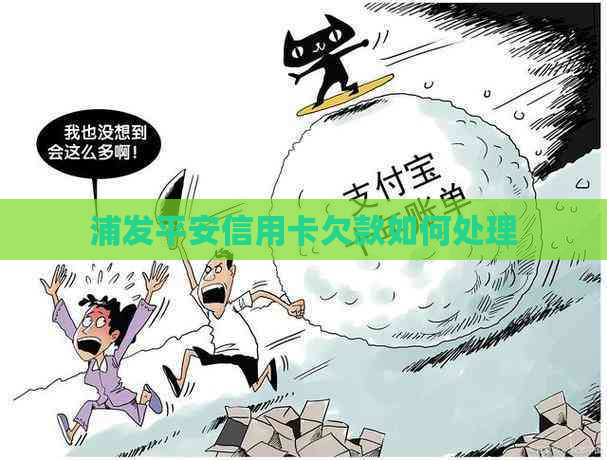浦发平安信用卡欠款如何处理