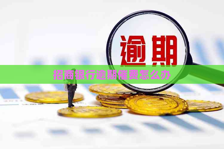招商银行逾期催费怎么办