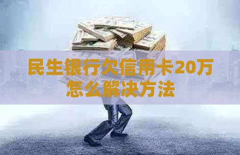 民生银行欠信用卡20万怎么解决方法