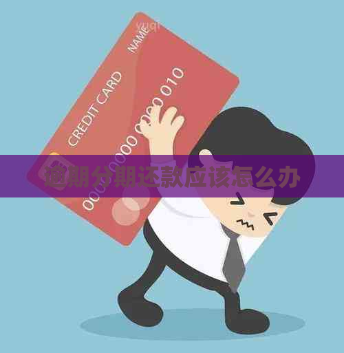逾期分期还款应该怎么办