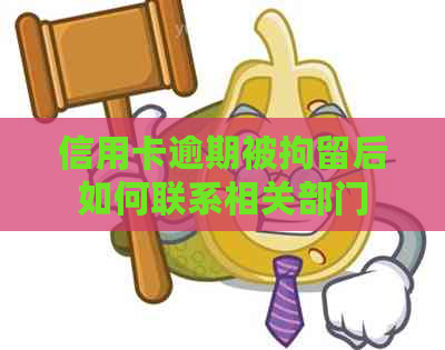 信用卡逾期被拘留后如何联系相关部门