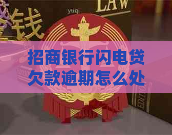 招商银行闪电贷欠款逾期怎么处理