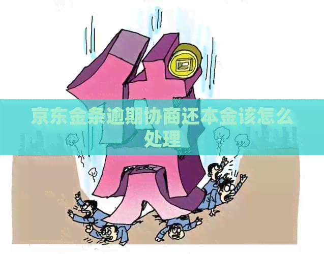 京东金条逾期协商还本金该怎么处理