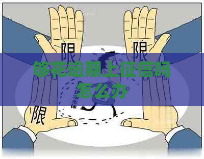 够花逾期上吗怎么办