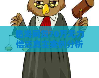 临海网贷70万无力偿还真实案例分析