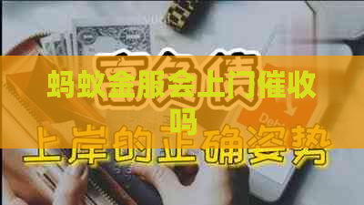 蚂蚁金服会上门吗