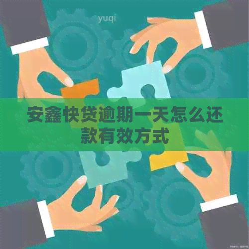 安鑫快贷逾期一天怎么还款有效方式