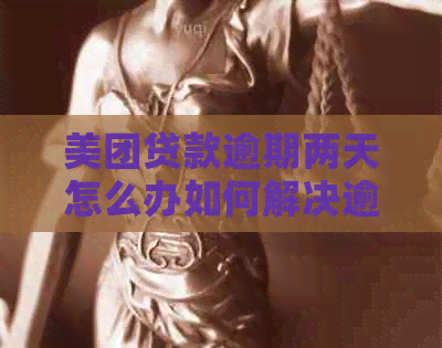 美团贷款逾期两天怎么办如何解决逾期问题