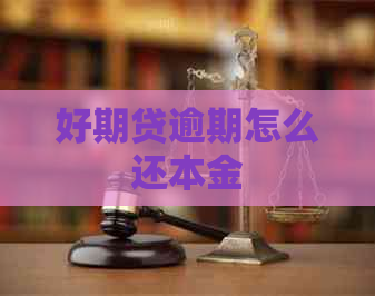 好期贷逾期怎么还本金