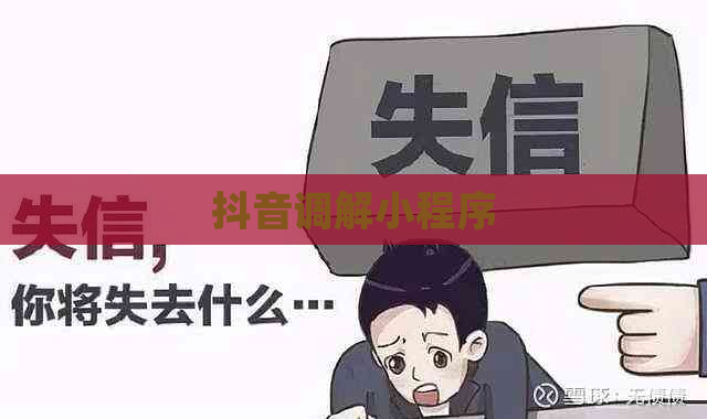 抖音调解小程序