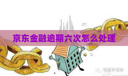 京东金融逾期六次怎么处理