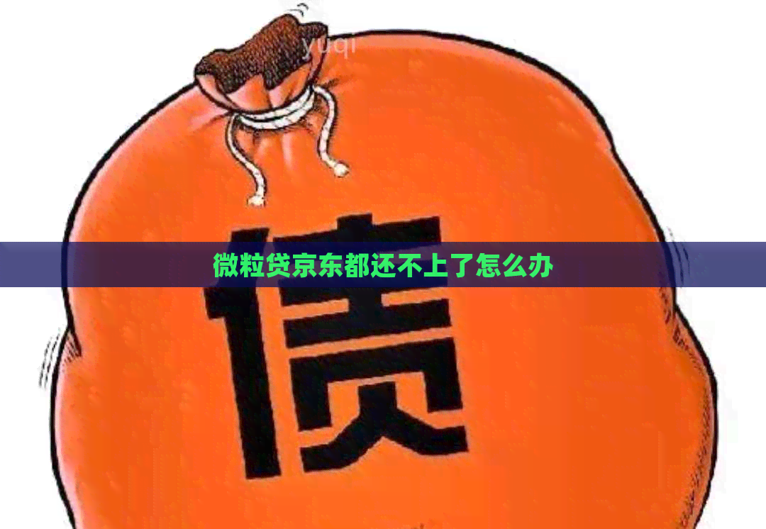 微粒贷京东都还不上了怎么办