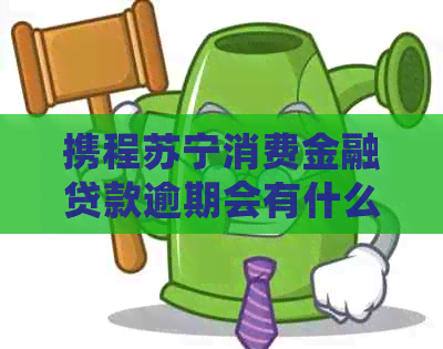 携程苏宁消费金融贷款逾期会有什么后果