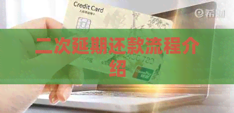 二次延期还款流程介绍