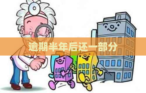 逾期半年后还一部分