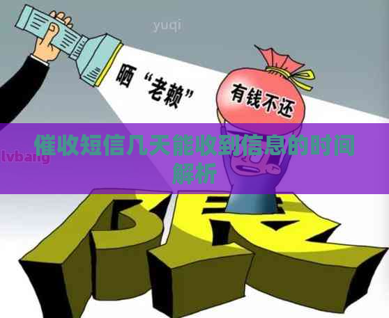 短信几天能收到信息的时间解析