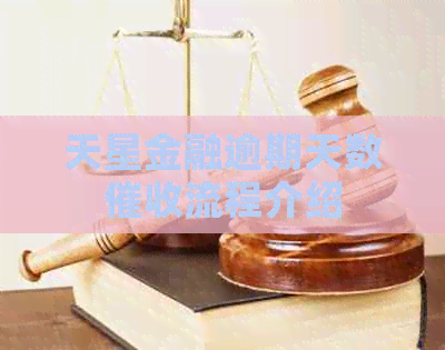 天星金融逾期天数流程介绍