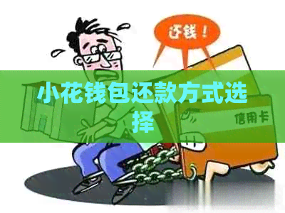 小花钱包还款方式选择
