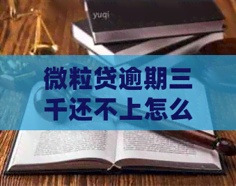 微粒贷逾期三千还不上怎么办处理方式