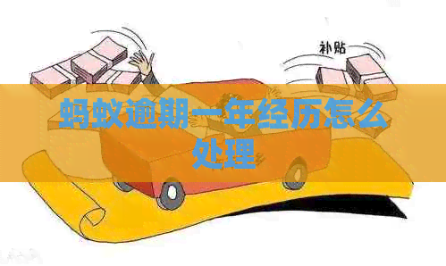 蚂蚁逾期一年经历怎么处理