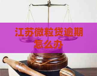 江苏微粒贷逾期怎么办