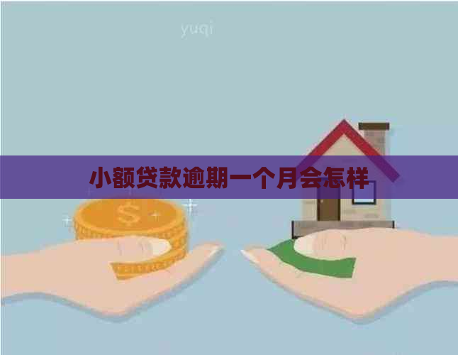 小额贷款逾期一个月会怎样