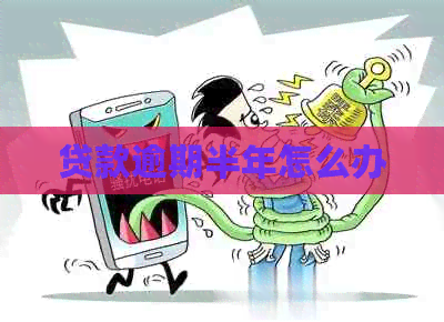 贷款逾期半年怎么办