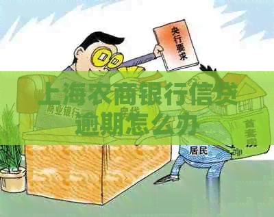 上海农商银行信贷逾期怎么办