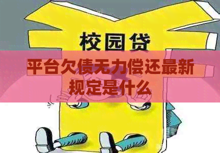 平台欠债无力偿还最新规定是什么