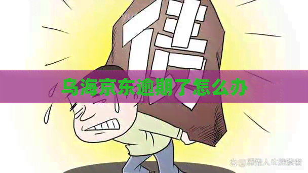 乌海京东逾期了怎么办