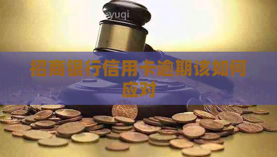 招商银行信用卡逾期该如何应对
