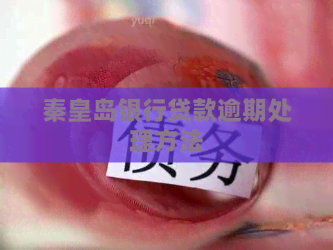 秦皇岛银行贷款逾期处理方法