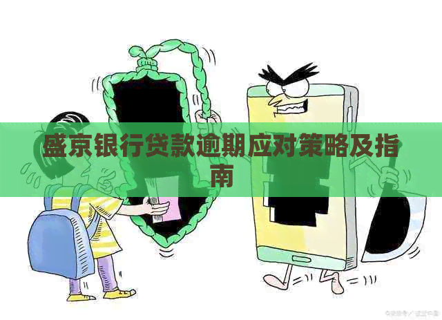 盛京银行贷款逾期应对策略及指南