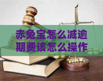 赤兔宝怎么减逾期费该怎么操作