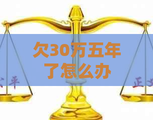 欠30万五年了怎么办