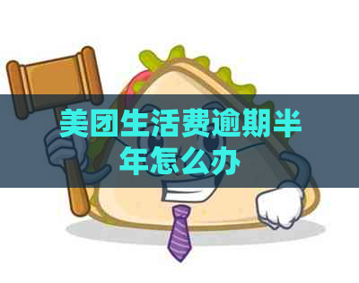 美团生活费逾期半年怎么办